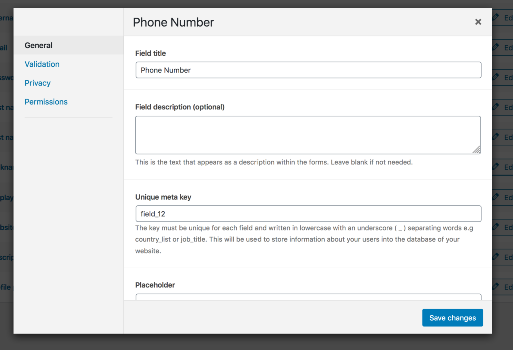 Edit WordPress custom field