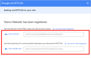 Adding Google Recaptcha - demo website